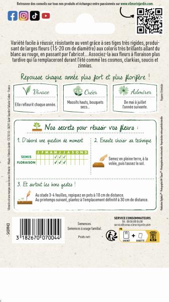 Fleurs - Pavot Pizzicato Varié - MEDIA_PACKAGING_VERSO